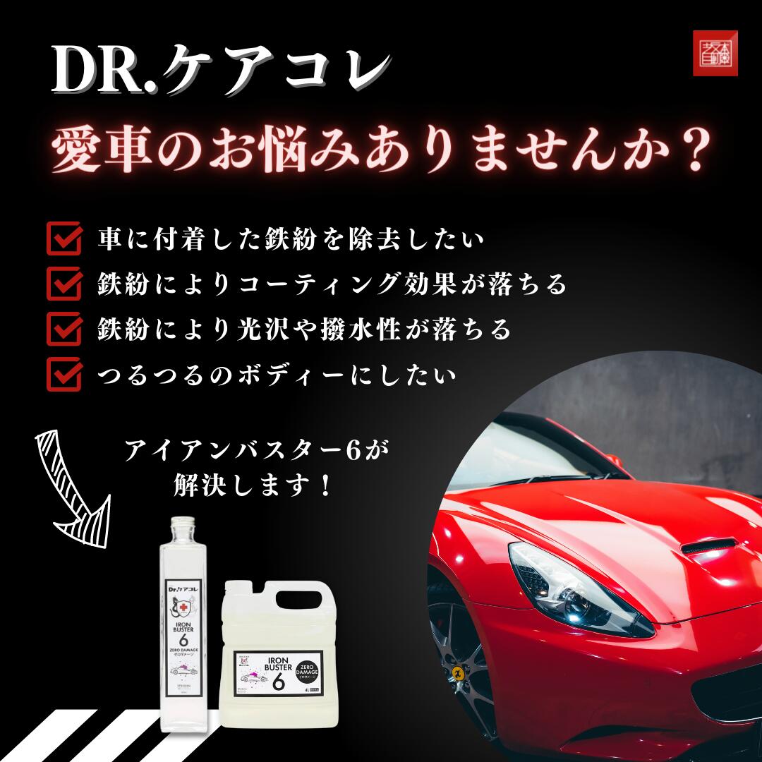 坂本自動車オフィシャルストア / スパシャン ドクターケアコレ アイアンバスター6 4Lサイズ SPASHAN Dr.ケアコレ IRON BUSTER